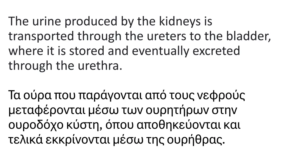 the urine produced by the kidneys is transported