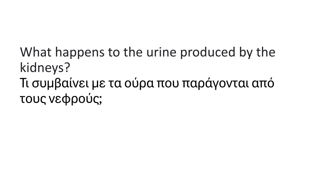 what happens to the urine produced by the kidneys