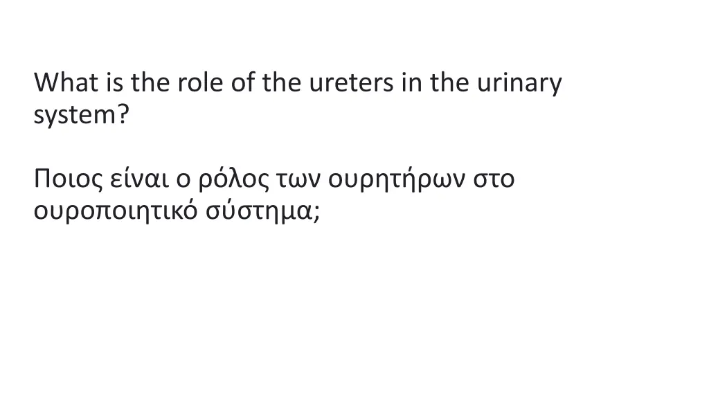 what is the role of the ureters in the urinary