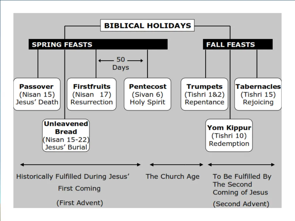 webster s dictionary defines the word tribulation