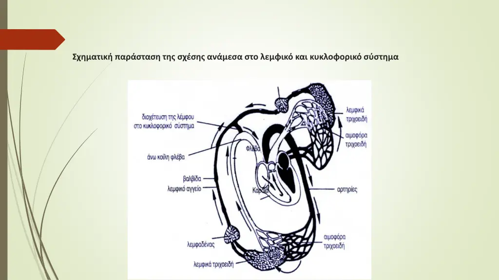 slide8
