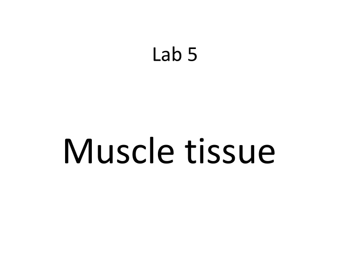lab 5