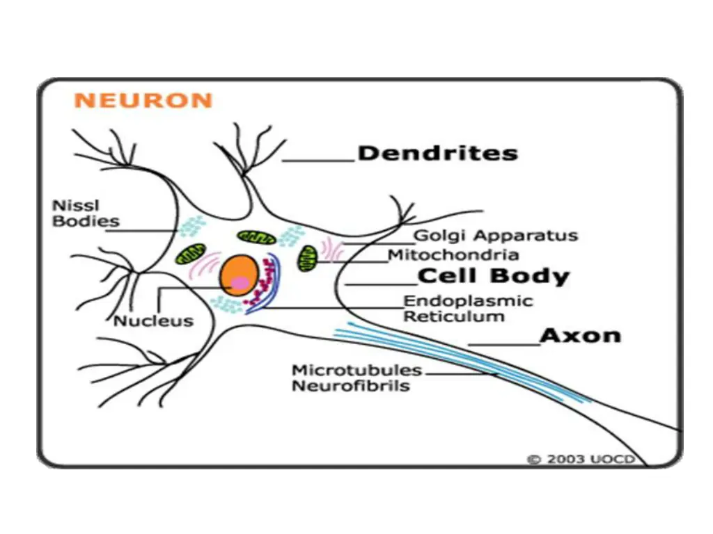 slide6