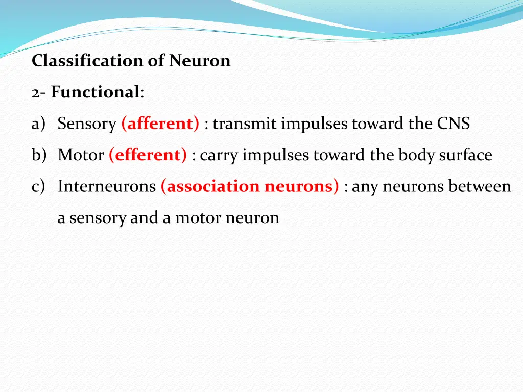 classification of neuron