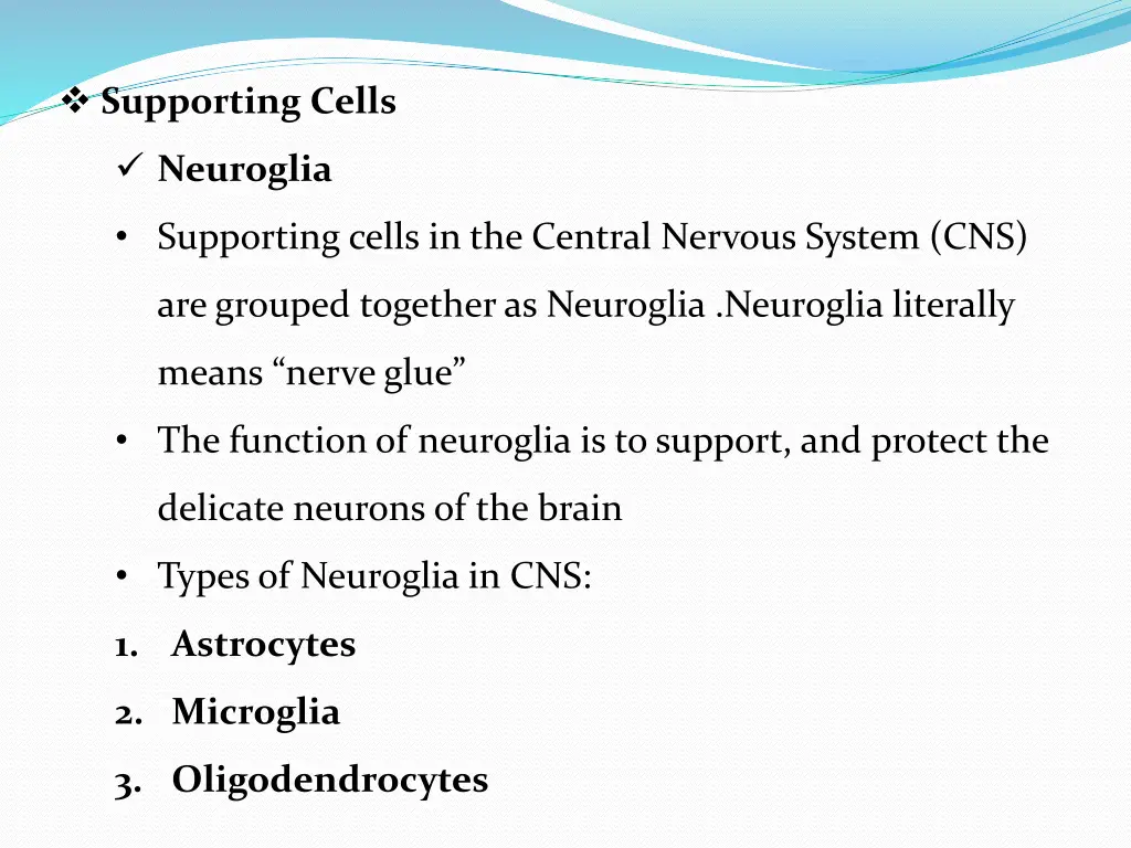 supporting cells