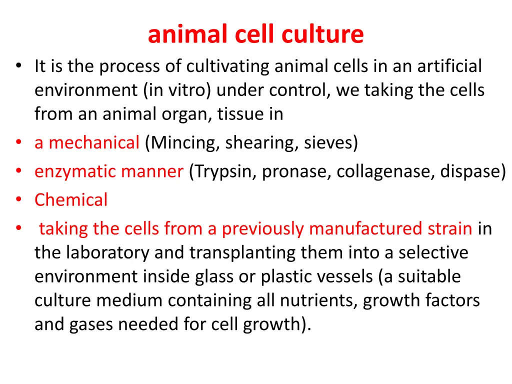 animal cell culture
