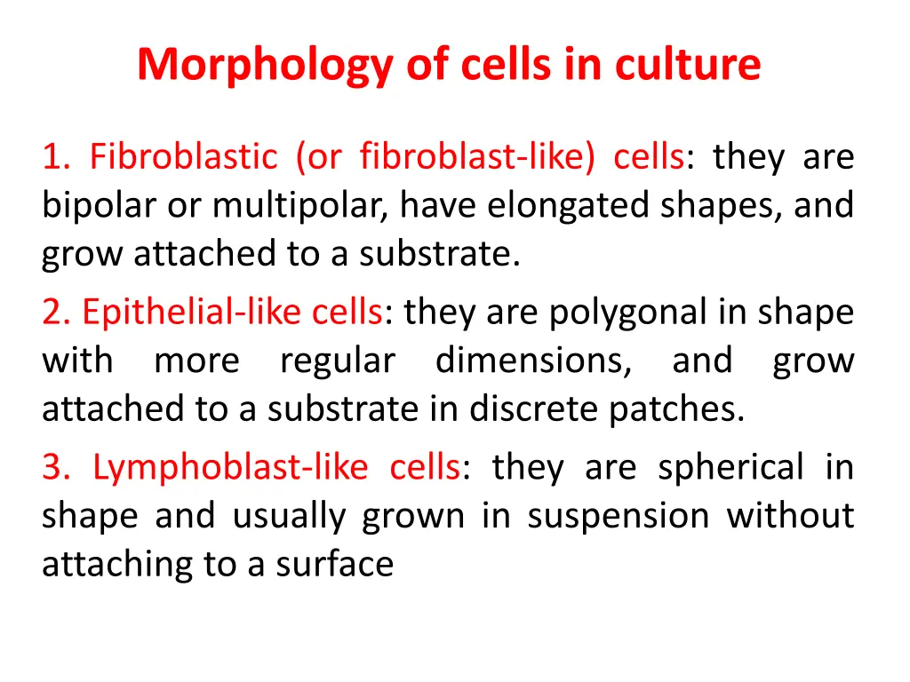 morphology of cells in culture