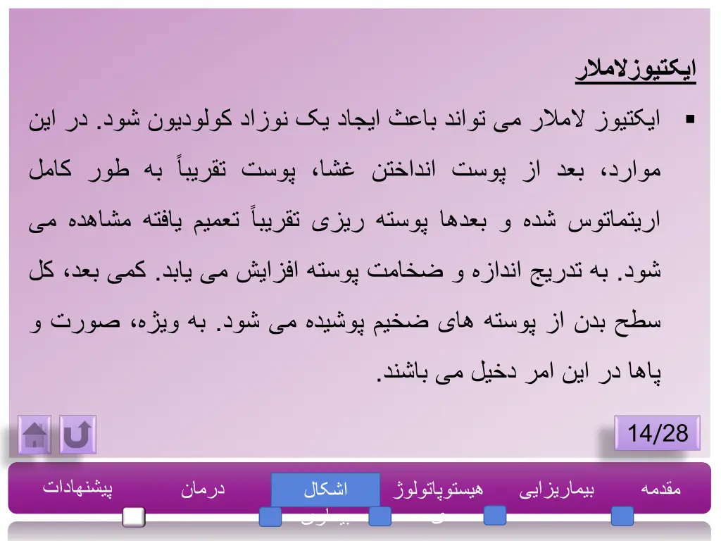 slide3