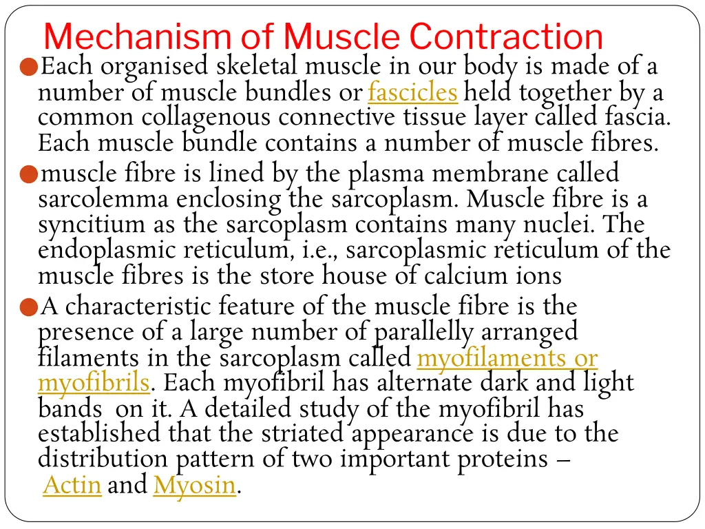 mechanism of muscle contraction each organised