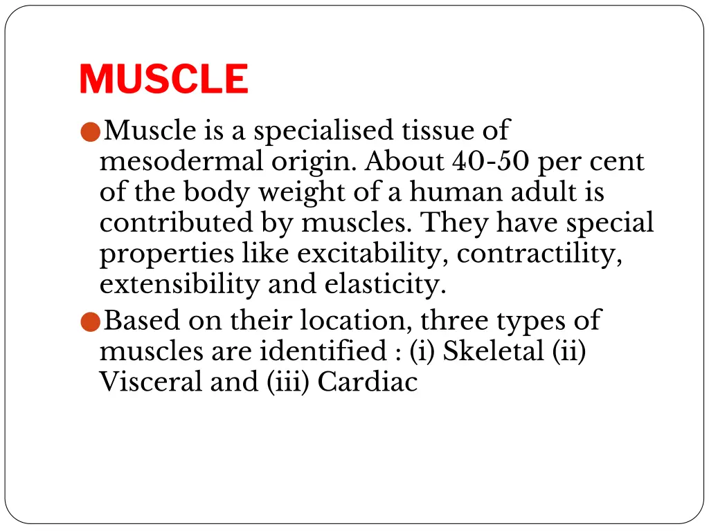 muscle