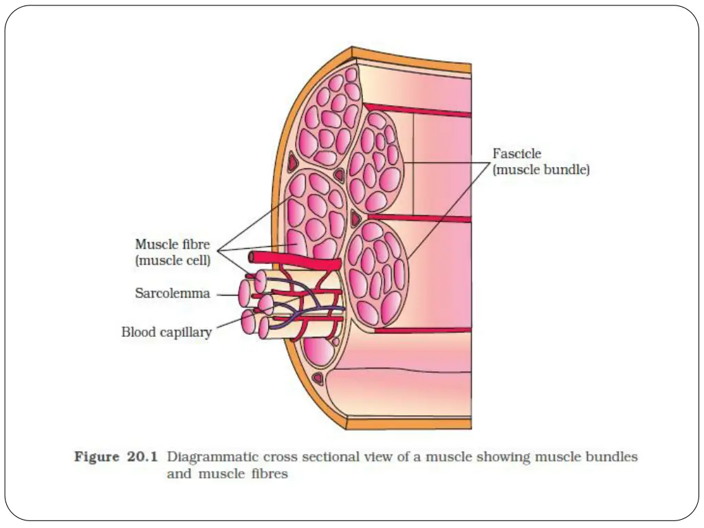 slide7