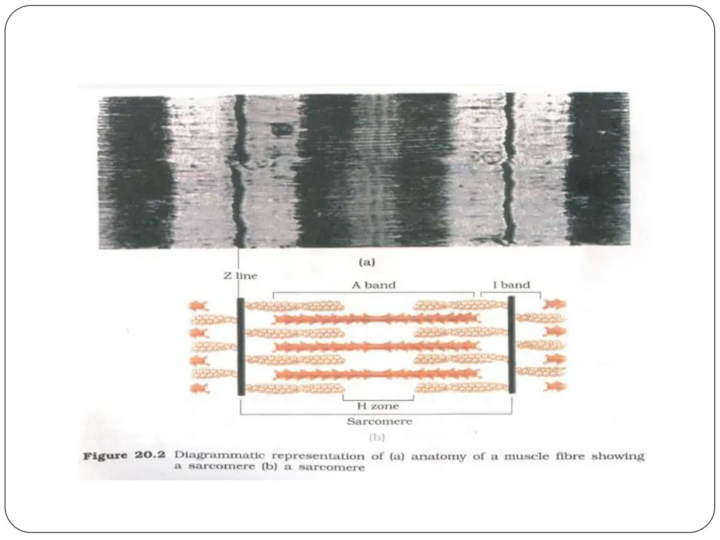 slide9