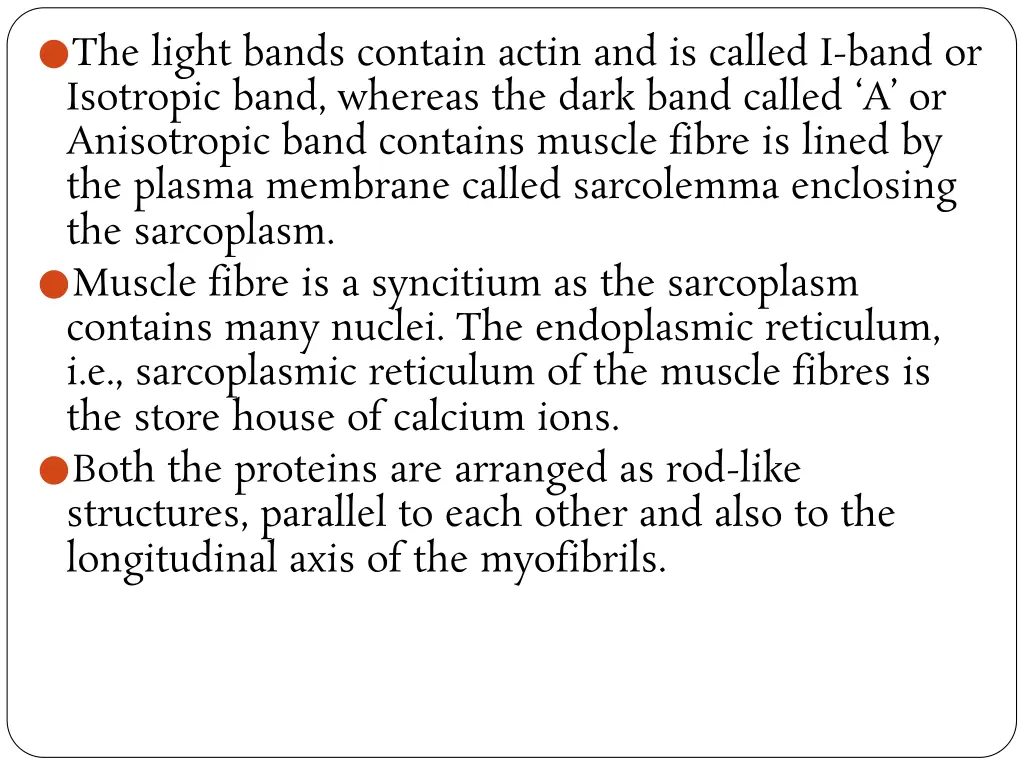 the light bands contain actin and is called