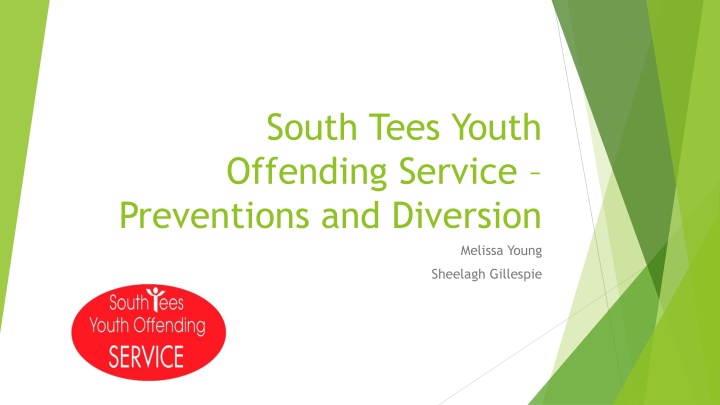 south tees youth offending service preventions