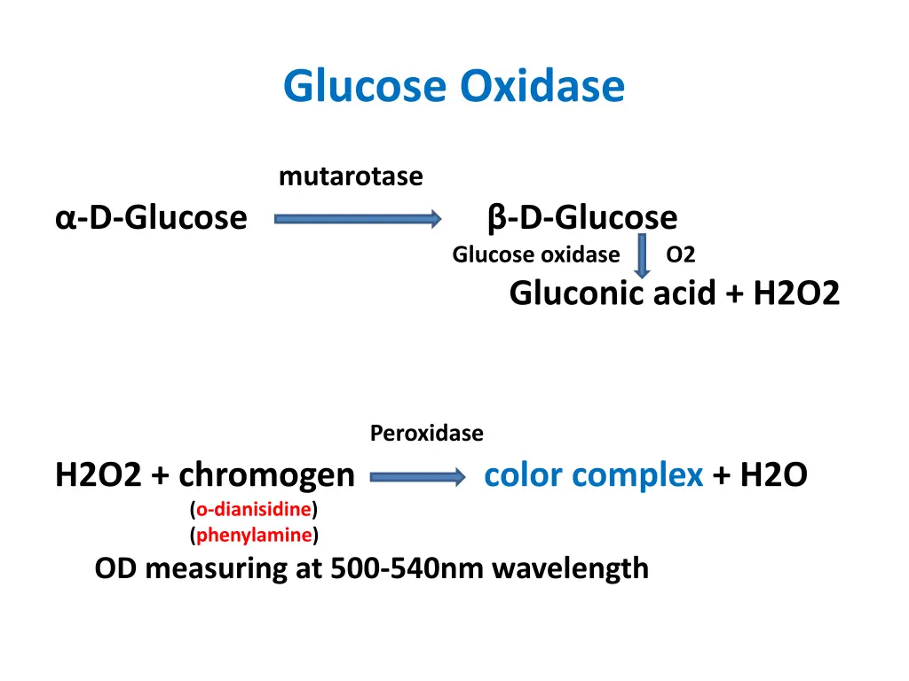 glucose oxidase