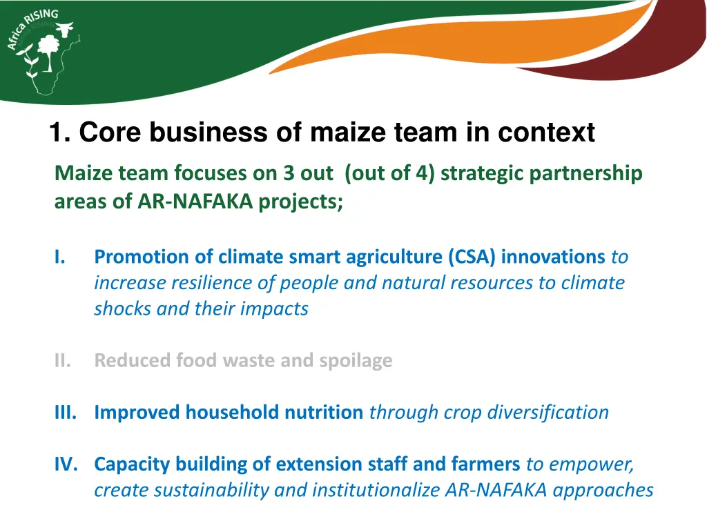 1 core business of maize team in context