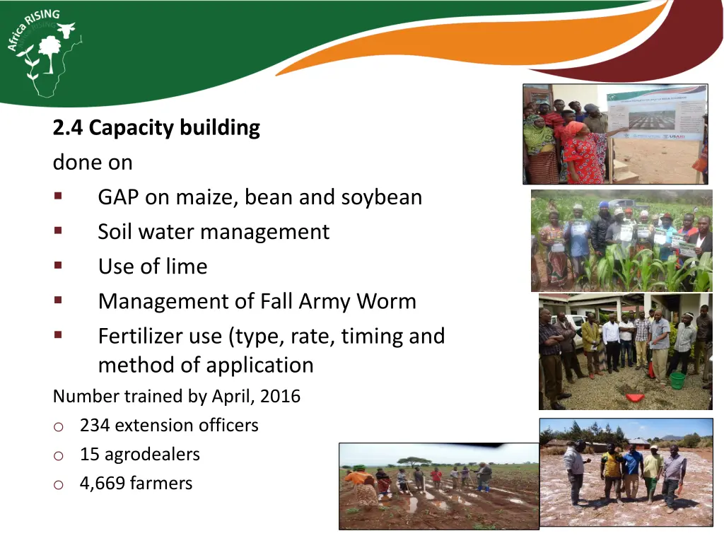 2 4 capacity building done on gap on maize bean