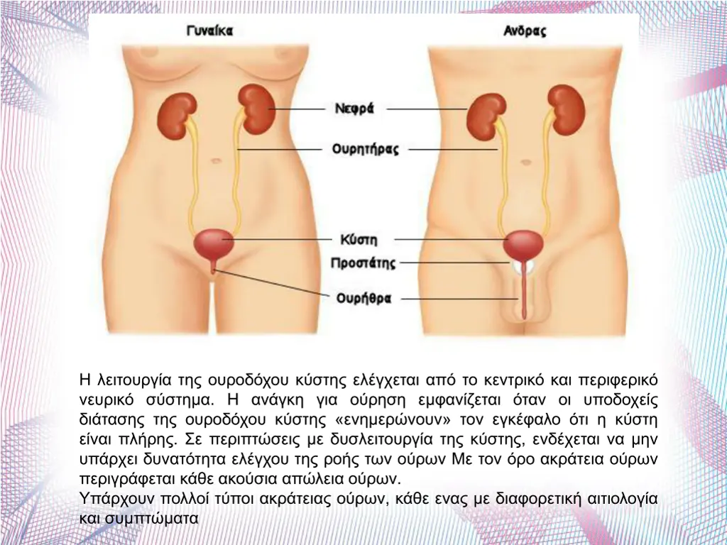 slide4