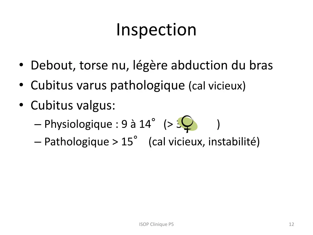 inspection