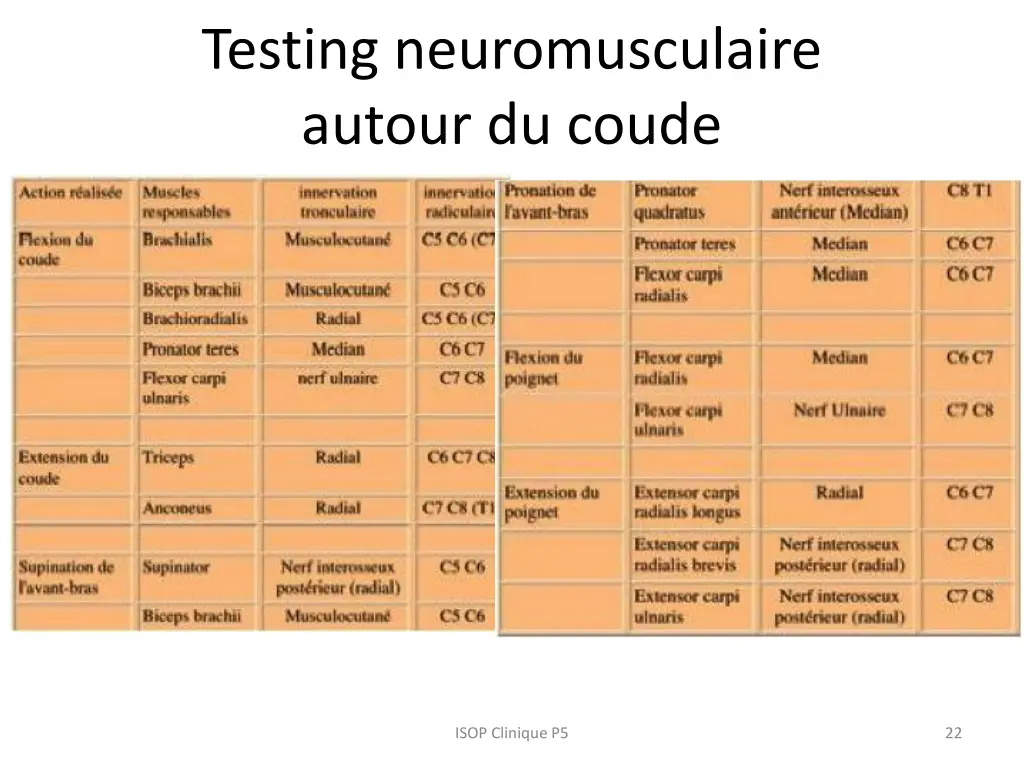 testing neuromusculaire autour du coude