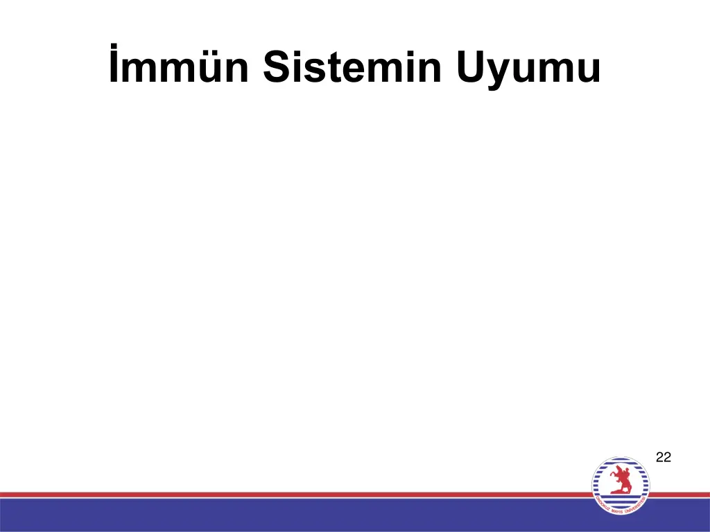 mm n sistemin uyumu