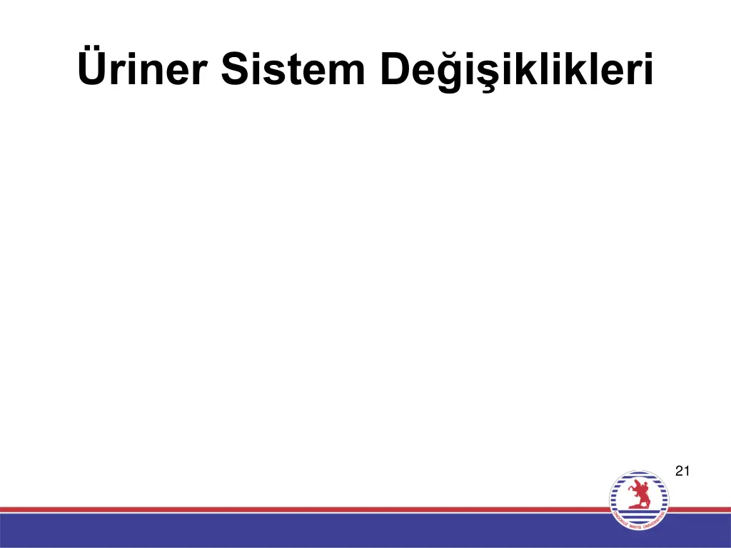 riner sistem de i iklikleri