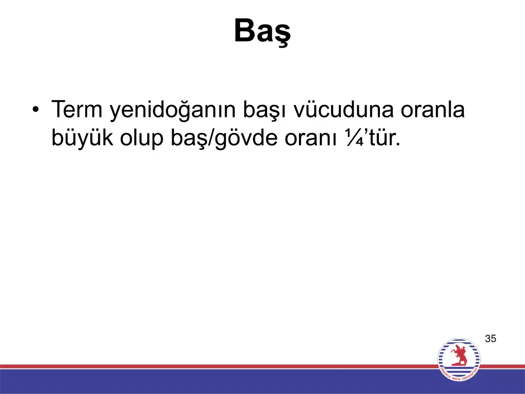 slide35