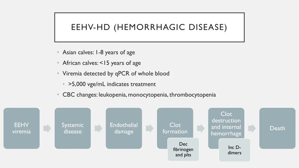eehv hd hemorrhagic disease 1