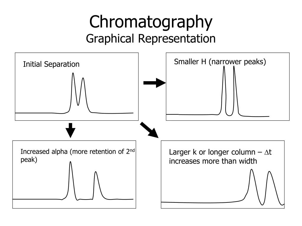 chromatography graphical representation