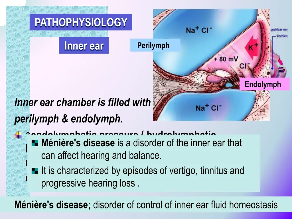 pathophysiology
