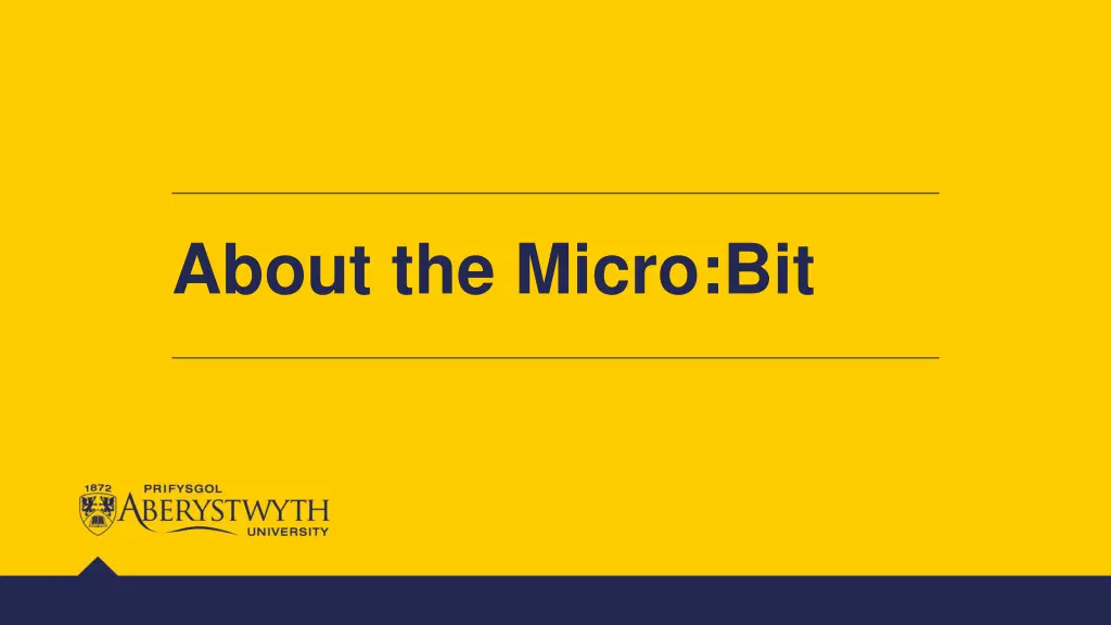 about the micro bit