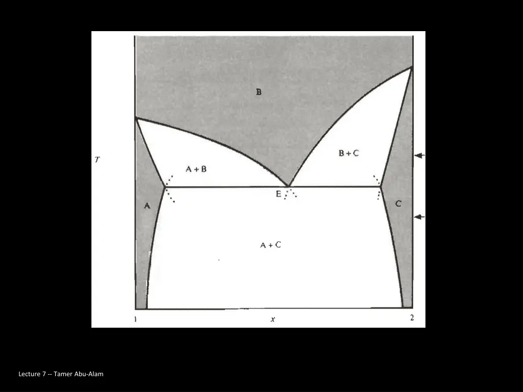 lecture 7 tamer abu alam