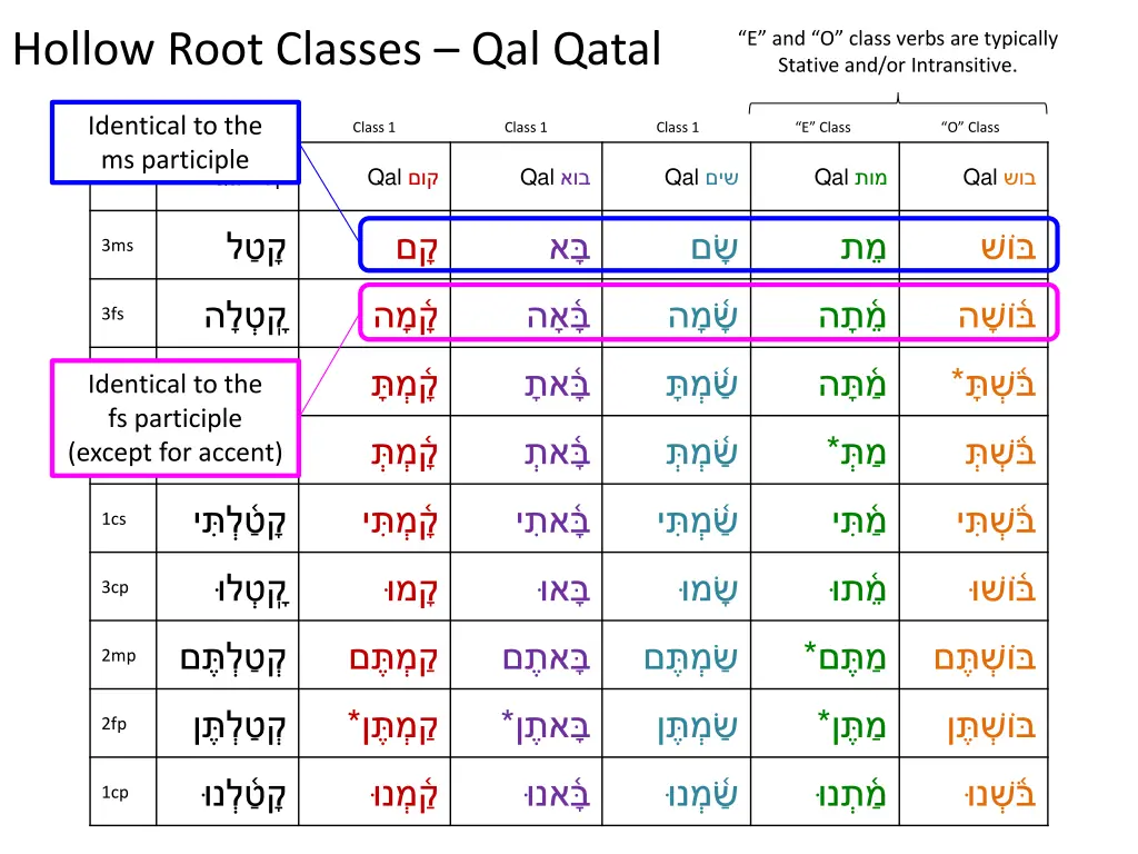 hollow root classes qal qatal 1