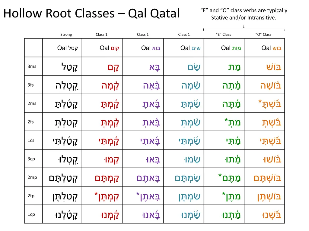 hollow root classes qal qatal