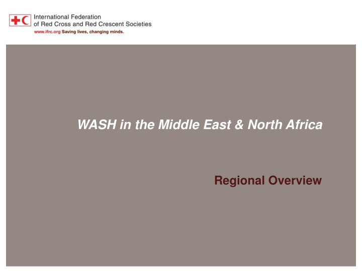 mena region overview