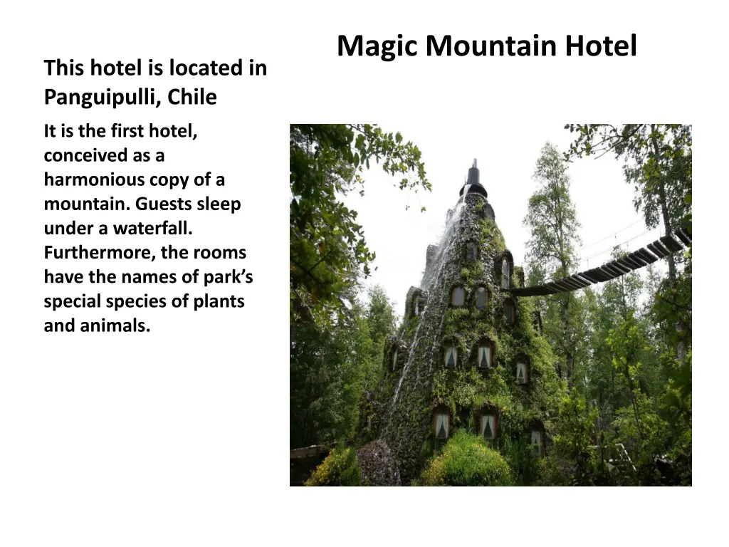 magic mountain hotel