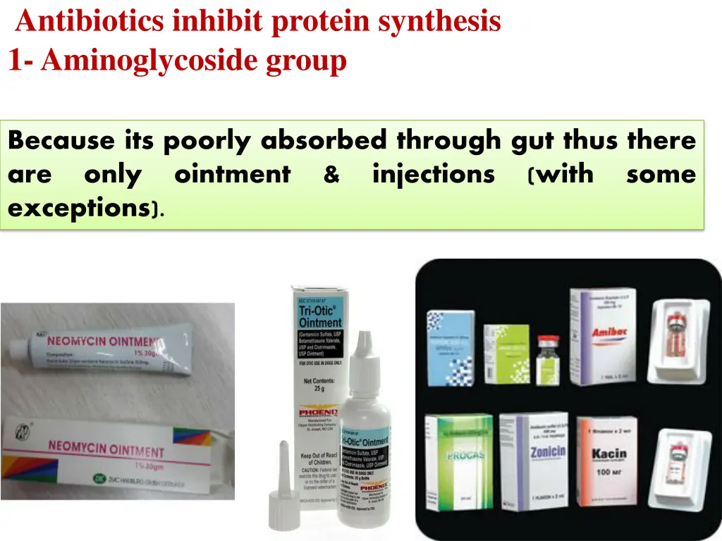 antibiotics inhibit protein synthesis
