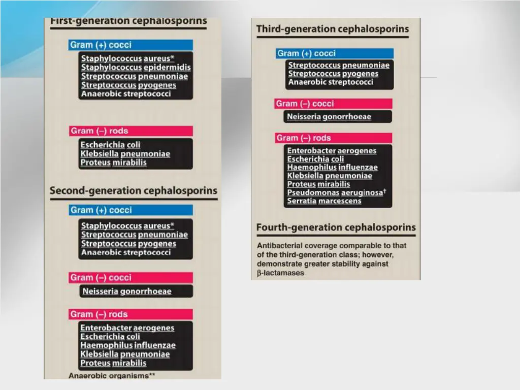 slide4