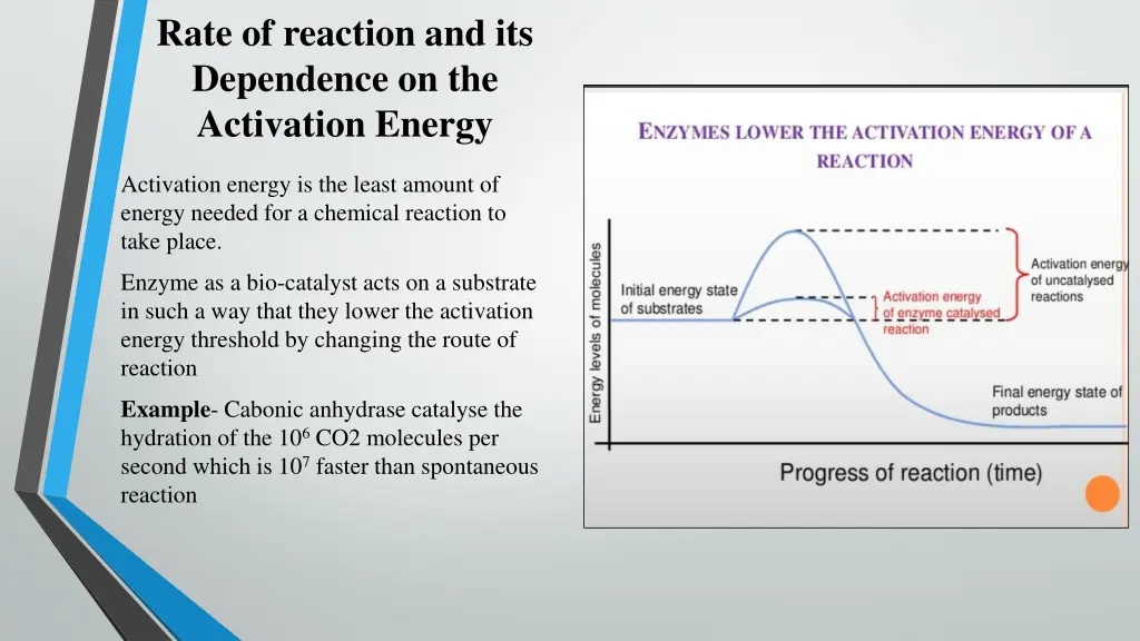rate of reaction and its dependence