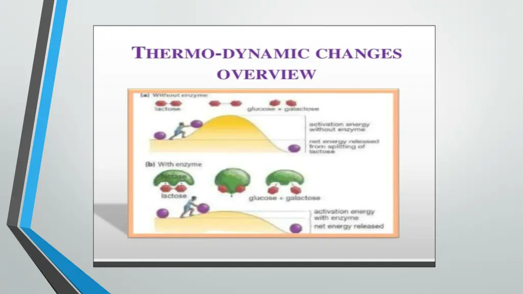 slide7