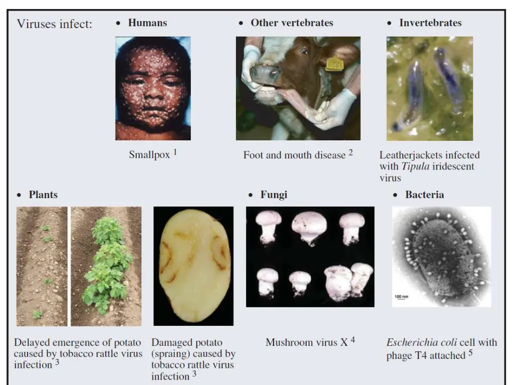 slide2
