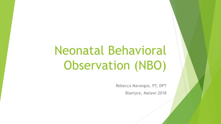 neonatal behavioral observation nbo