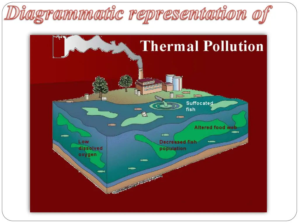 diagrammatic representation of