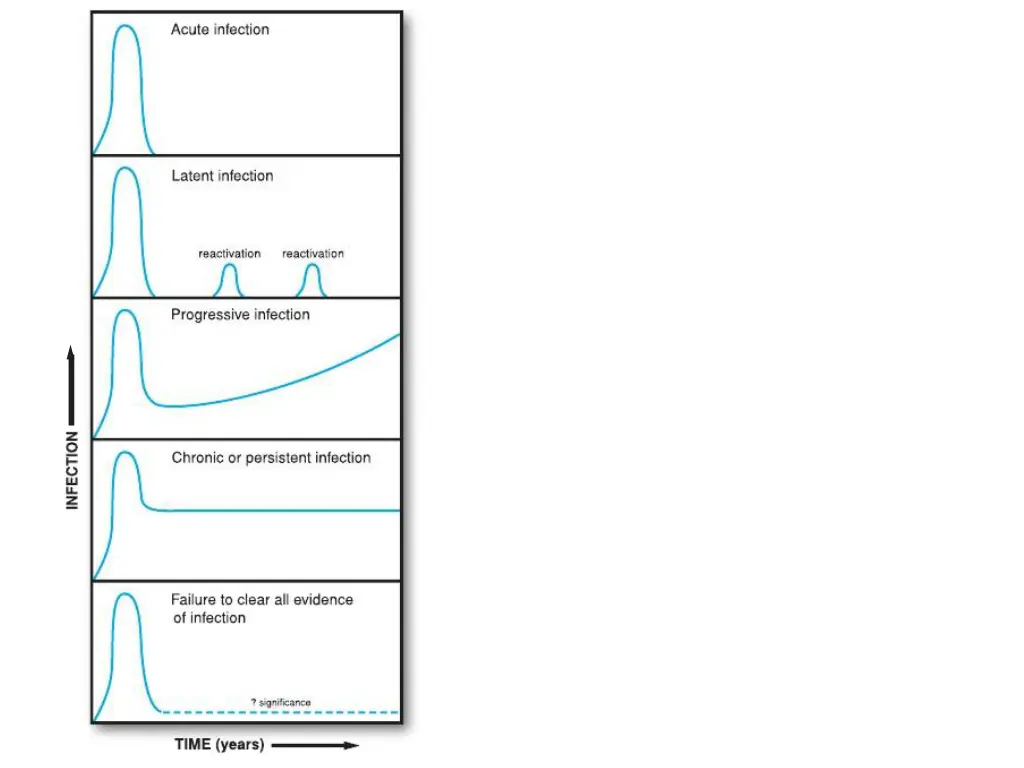 slide4
