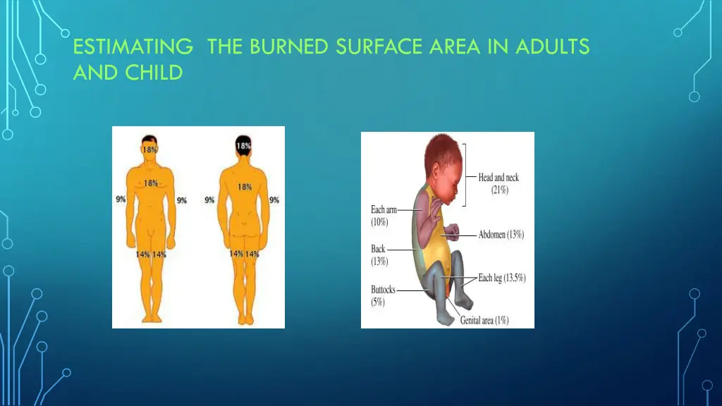 estimating the burned surface area in adults