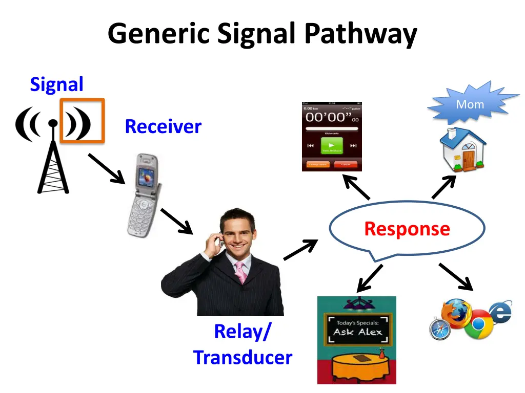 generic signal pathway