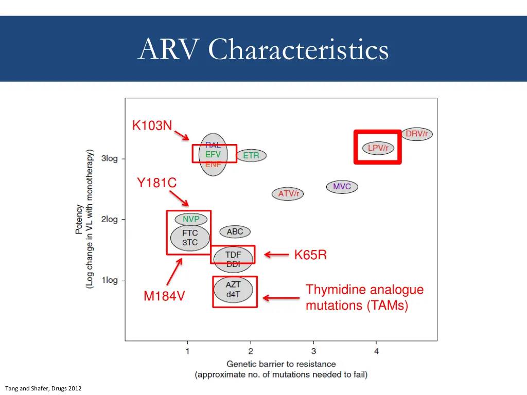 arv characteristics 3