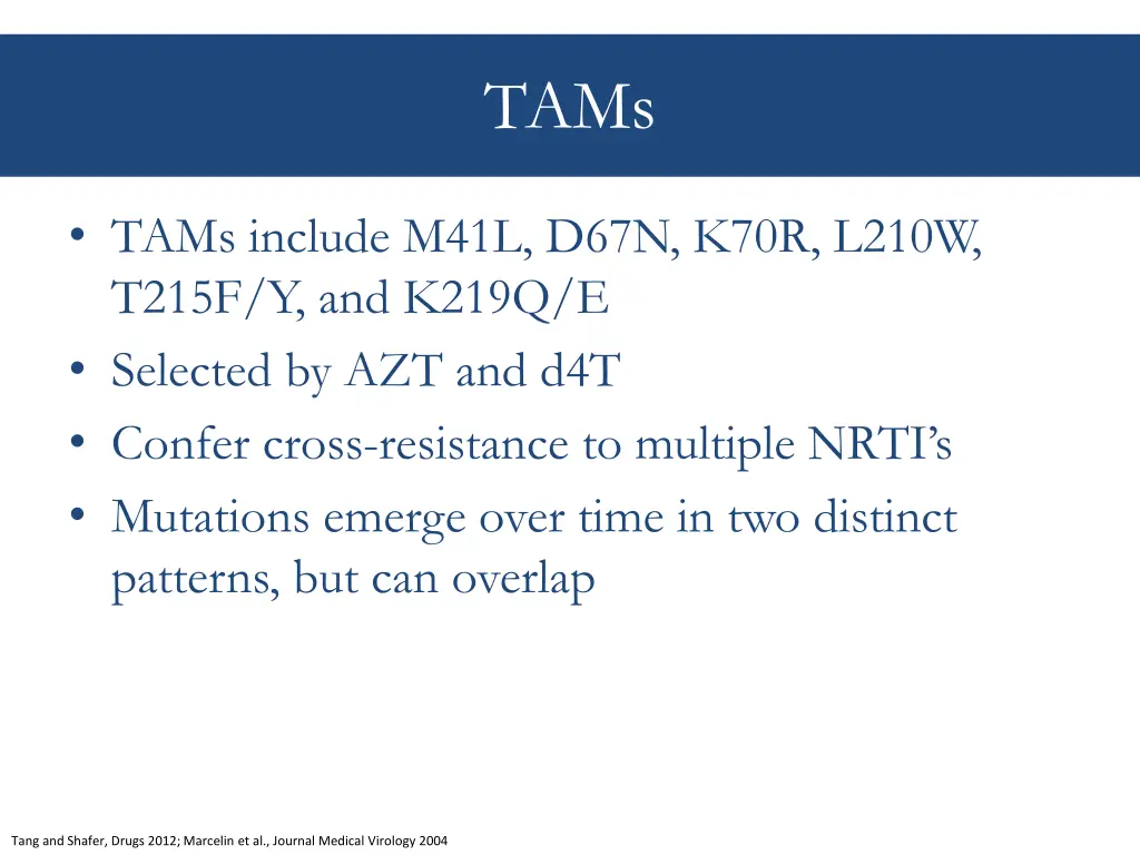 slide19