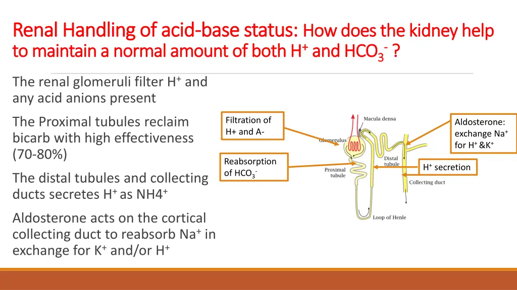 renal handling of acid renal handling of acid