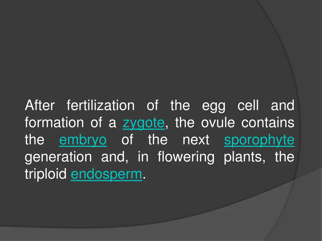 after fertilization of the egg cell and formation
